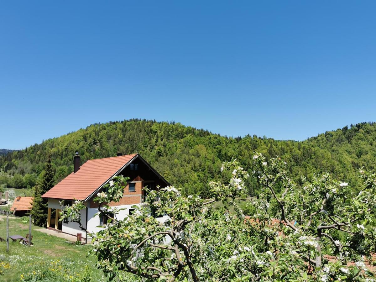 Planinski Mir Zaovine エクステリア 写真