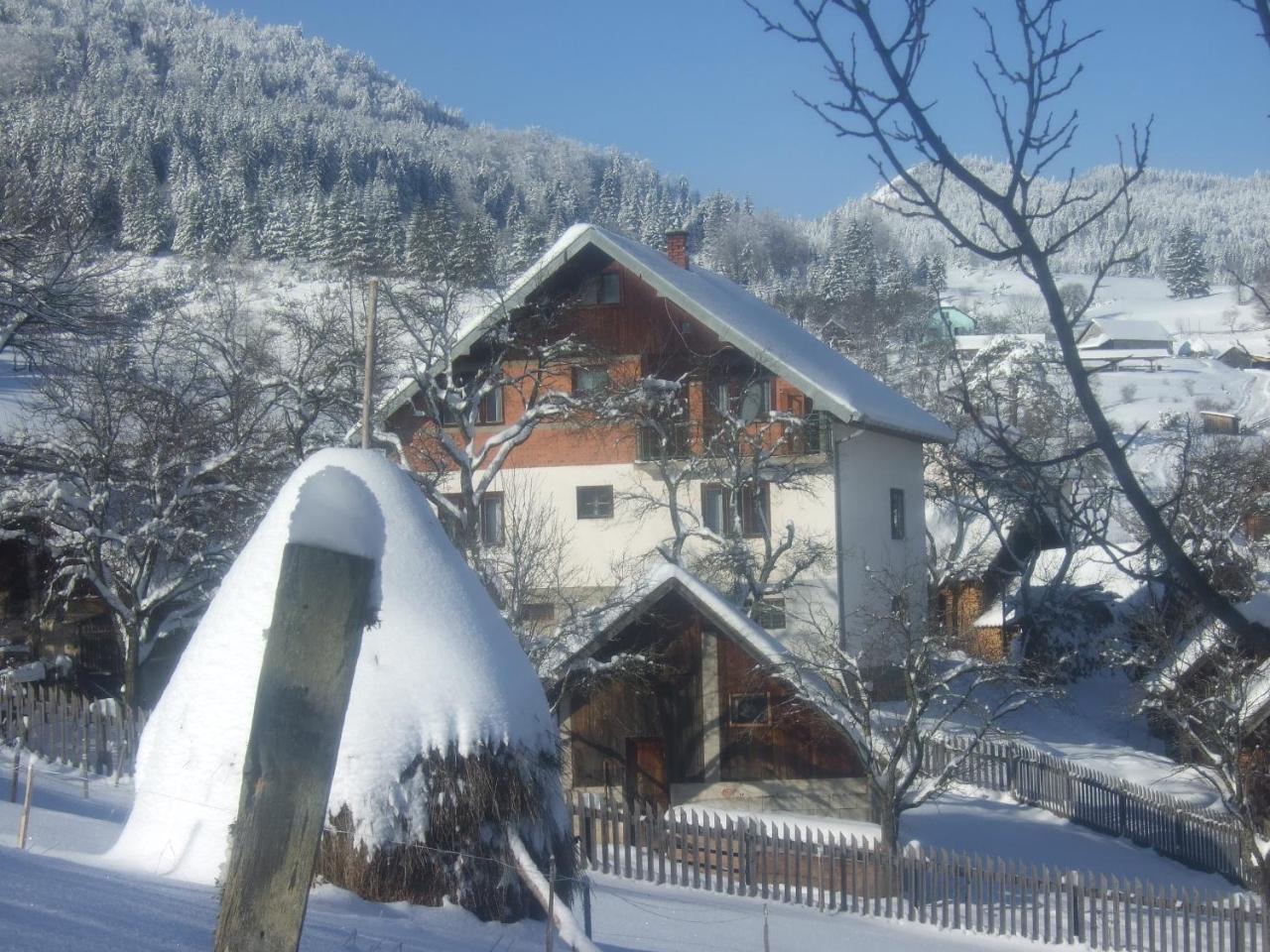 Planinski Mir Zaovine エクステリア 写真