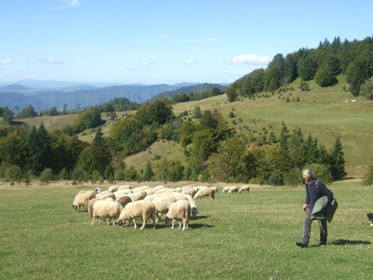Planinski Mir Zaovine エクステリア 写真
