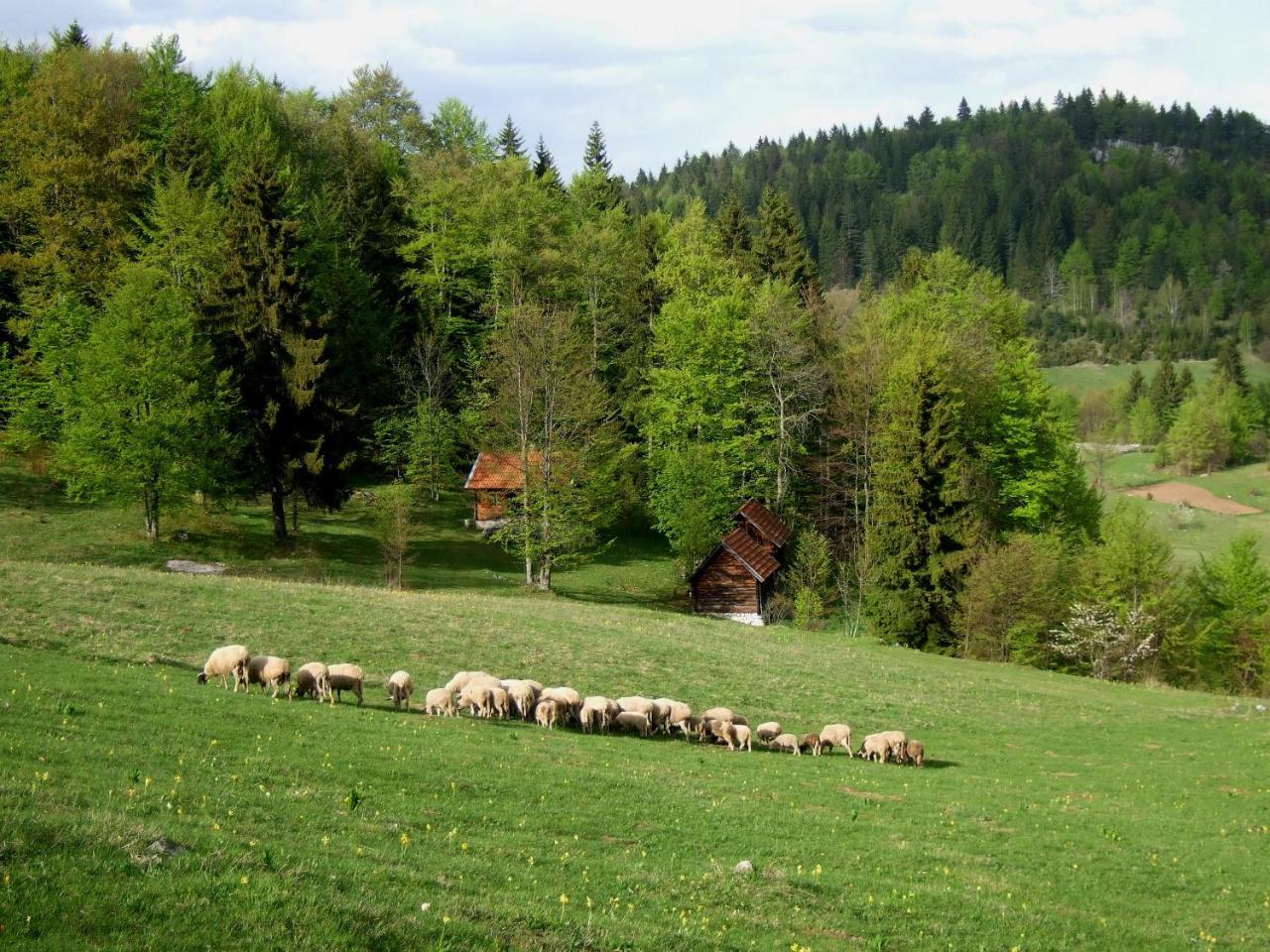 Planinski Mir Zaovine エクステリア 写真